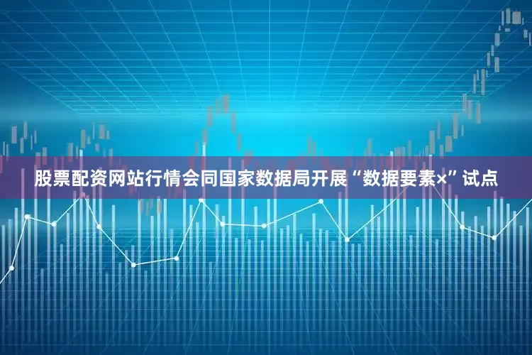 股票配资网站行情会同国家数据局开展“数据要素×”试点