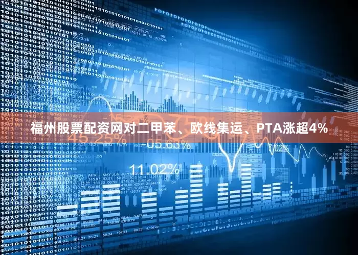 福州股票配资网对二甲苯、欧线集运、PTA涨超4%