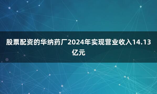 股票配资的华纳药厂2024年实现营业收入14.13亿元