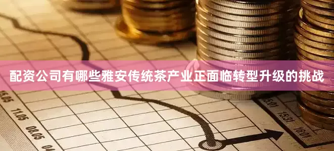 配资公司有哪些雅安传统茶产业正面临转型升级的挑战