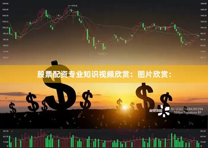 股票配资专业知识视频欣赏：图片欣赏：