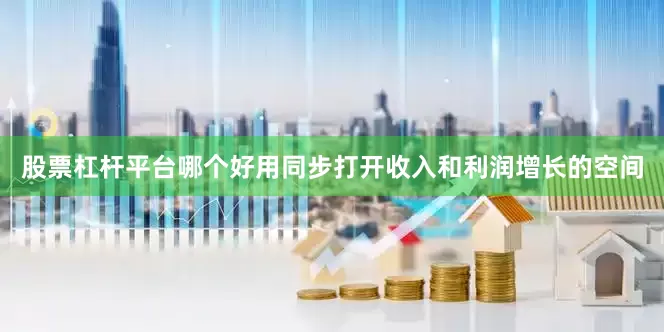 股票杠杆平台哪个好用同步打开收入和利润增长的空间