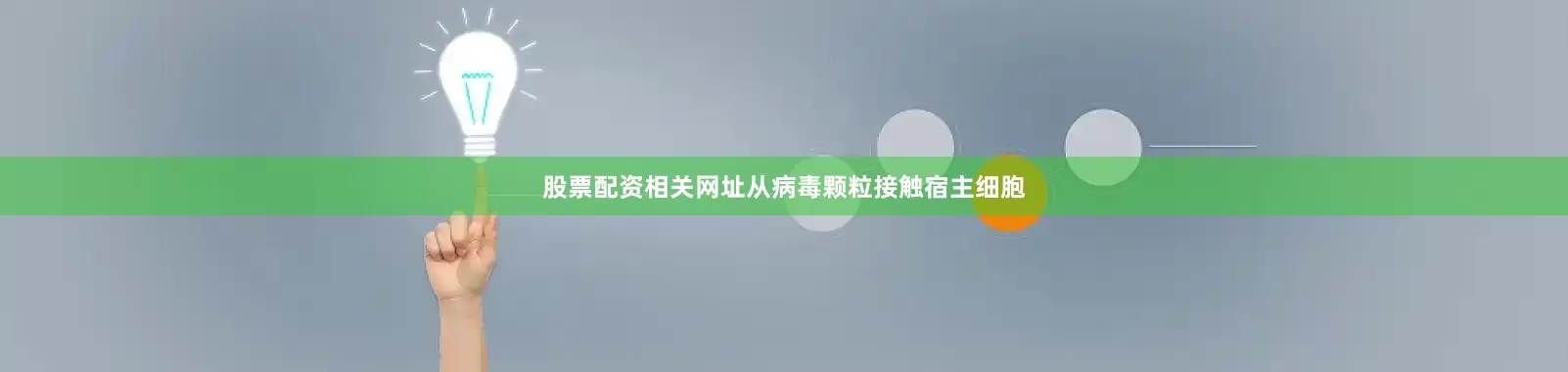 股票配资相关网址从病毒颗粒接触宿主细胞